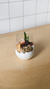 Yogurt Griego
