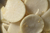 Conserva lactofermentada de nabos en internet