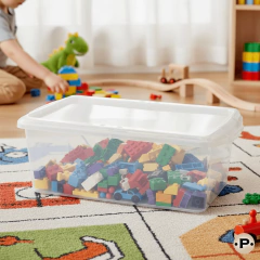 Organizador de Calzados 6Lts - Prego Hogar