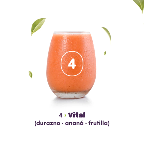 Smoothies 4 - Vital - 3 Porciones