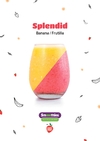 Smoothies Duo Splendid