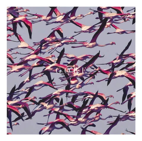 Vinilo Dante Spinetta Mesa Dulce Lp Album Nuevo