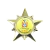 Pin de Solapa Estrella Dorada