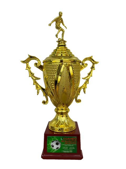 Trofeo de Fútbol Dorado con figura 25cm