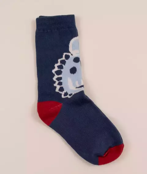 MEDIA TRICERATOPS (I24Q3006)