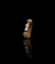 Banner de Ornata
