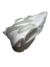 ZAPATILLA DEPORTIVA TRAINING URBANA I RUN COD:7267 en internet