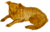 L27. Aquarela Amarelo Ocre - Poética do Habitar