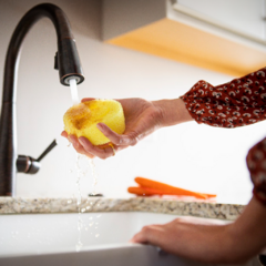 Scrub Daddy Original en internet