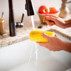 Esponja Dump Duster - comprar online
