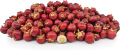MURTA CONGELADA 1 KG