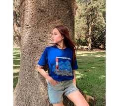 Remera Ushuaia en internet