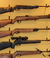 Armas y Accesorios