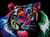 79 - TIGRE