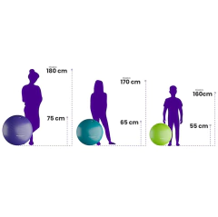 Pelota Inflable Esferodinamia Ejercicios Ball 55 Cm Inflador - tienda online