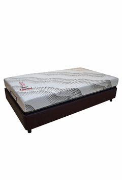 Cama Eléctrica Articulada Tipo Ortopédica Con Colchón 1,40 x 2 mt en internet