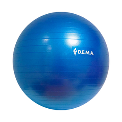 Pelota Esferodinamia Ejercicio 55 Cm Fitness Pilates Dema