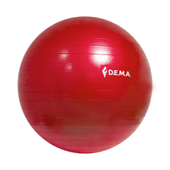 Pelota Esferodinamia Ejercicio 75 Cm Fitness Pilates Dema
