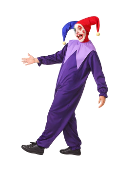 Fantasia Palhaço Pierro Adulto Sob Encomenda - comprar online