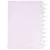 Caderno Inteligente Ice Pink/Blue