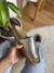Artículo 33 PLATINO - LUU shoes