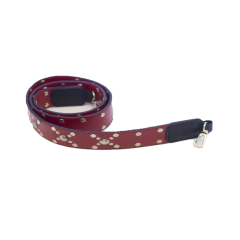 CORREA CUERO en internet