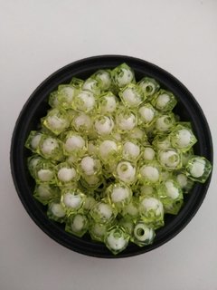 Cubo Acrilico Verde 8mm