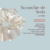 Trio de Scrunchie de Seda na internet