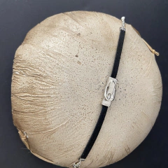 PD-583 - comprar online