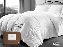 Funda Nordica Chocolate Twin - comprar online