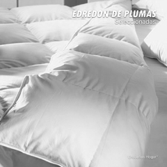 Edredon de plumas seleccionadas Twin en internet
