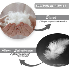 Edredon de plumas seleccionadas Twin - Ensueños Hogar