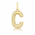 Pingente Letra Texturizado com fecho Ouro 18k - loja online