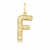 Pingente Letra Texturizado com fecho Ouro 18k