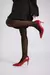 STILETTO AMARANN en internet