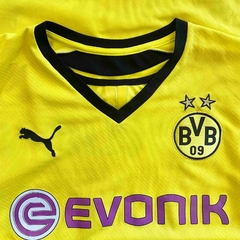 BORUSSIA DORTMUND M 2013-14 na internet