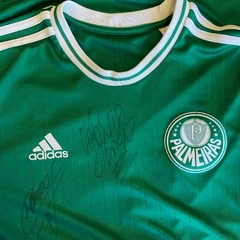 PALMEIRAS ASSINADA G 2013-14 on internet