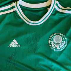 PALMEIRAS ASSINADA G 2013-14 na internet