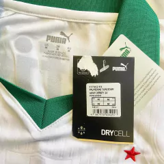 Image of PALMEIRAS 2024-25