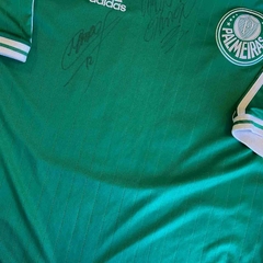 PALMEIRAS ASSINADA G 2013-14