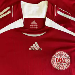 DINAMARCA M 2006-07 na internet