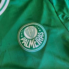 Image of PALMEIRAS ASSINADA G 2013-14