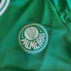 Imagem do PALMEIRAS ASSINADA G 2013-14