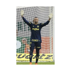 PALMEIRAS M GK 2018 on internet