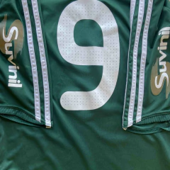 PALMEIRAS GG 2008-09 on internet