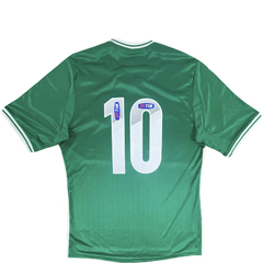 PALMEIRAS ASSINADA G 2013-14 - buy online