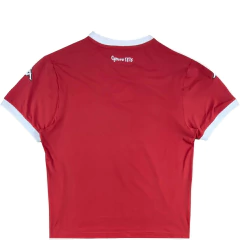 PAÍS DE GALES M 2006-07 - buy online