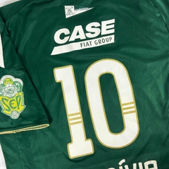 Imagem do PALMEIRAS G 2010