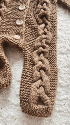 Astronauta en internet