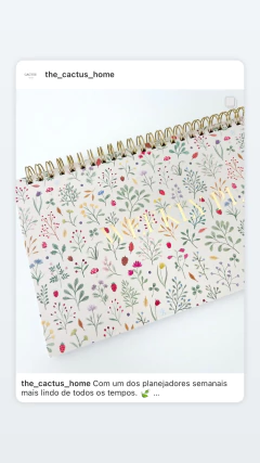 PLANEJADOR SEMANAL IRMÃS GRENE - loja online